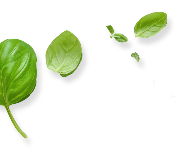Footer image